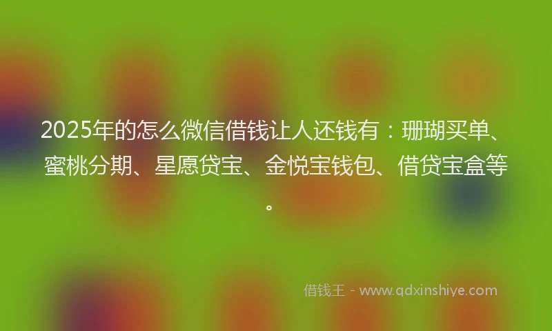 2025年的怎么微信借钱让人还钱有：珊瑚买单、蜜桃分期、星愿贷宝、金悦宝钱包、借贷宝盒等。