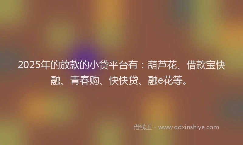 2025年的放款的小贷平台有：葫芦花、借款宝快融、青春购、快快贷、融e花等。