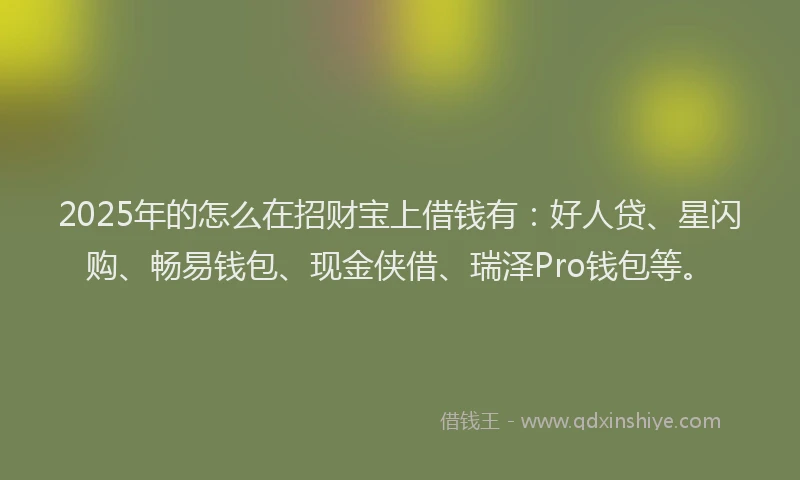 2025年的怎么在招财宝上借钱有：好人贷、星闪购、畅易钱包、现金侠借、瑞泽Pro钱包等。