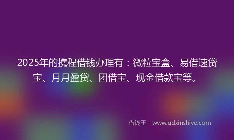 2025年的携程借钱办理有：微粒宝盒、易借速贷宝、月月盈贷、团借宝、现金借款宝等。