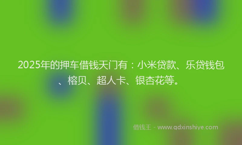 2025年的押车借钱天门有：小米贷款、乐贷钱包、榕贝、超人卡、银杏花等。