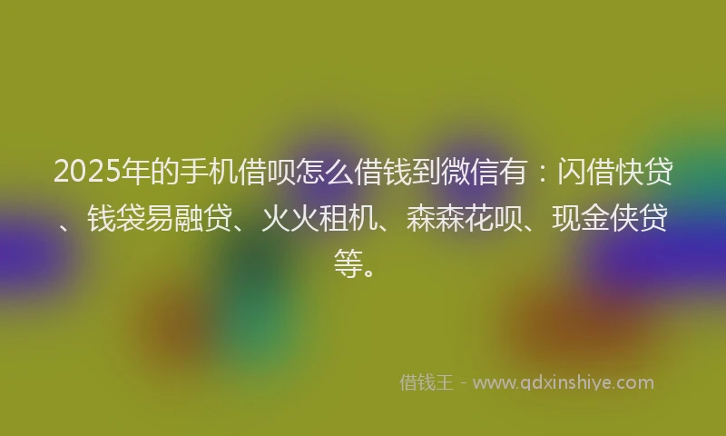 2025年的手机借呗怎么借钱到微信有：闪借快贷、钱袋易融贷、火火租机、森森花呗、现金侠贷等。