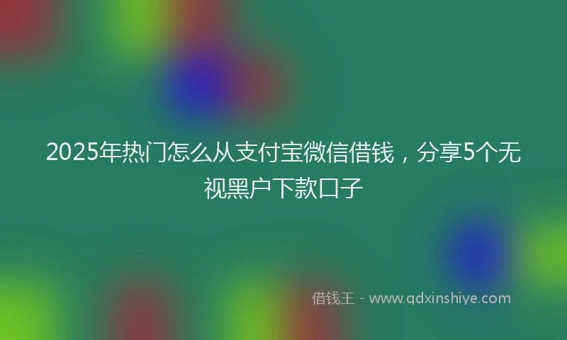 2025年热门怎么从支付宝微信借钱，分享5个无视黑户下款口子