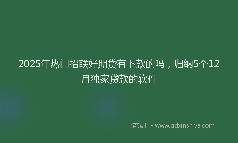 2025年热门招联好期贷有下款的吗，归纳5个12月独家贷款的软件