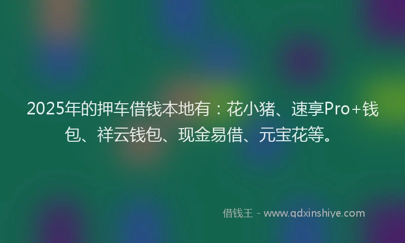 2025年的押车借钱本地有：花小猪、速享Pro+钱包、祥云钱包、现金易借、元宝花等。