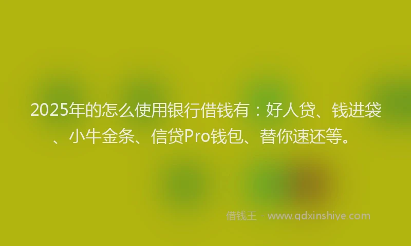 2025年的怎么使用银行借钱有：好人贷、钱进袋、小牛金条、信贷Pro钱包、替你速还等。