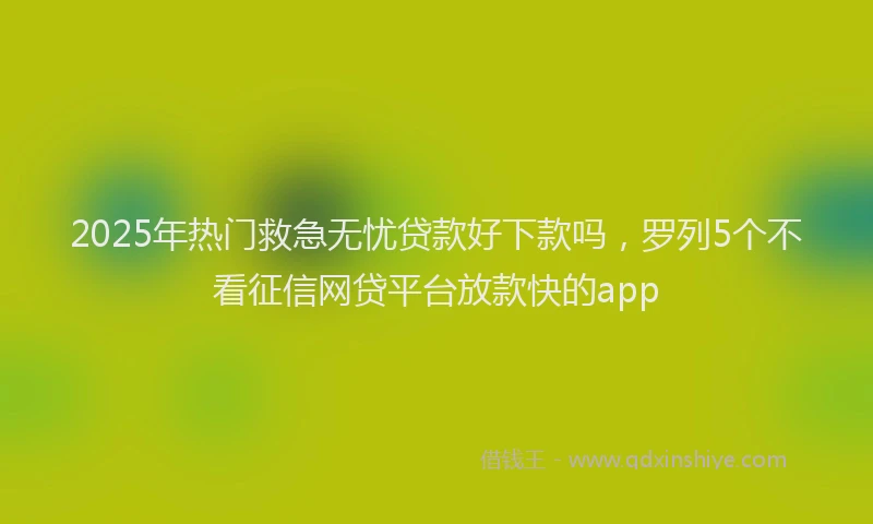 2025年热门救急无忧贷款好下款吗，罗列5个不看征信网贷平台放款快的app