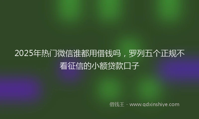 2025年热门微信谁都用借钱吗，罗列五个正规不看征信的小额贷款口子