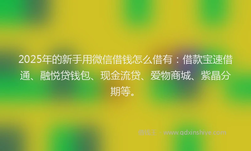 2025年的新手用微信借钱怎么借有：借款宝速借通、融悦贷钱包、现金流贷、爱物商城、紫晶分期等。