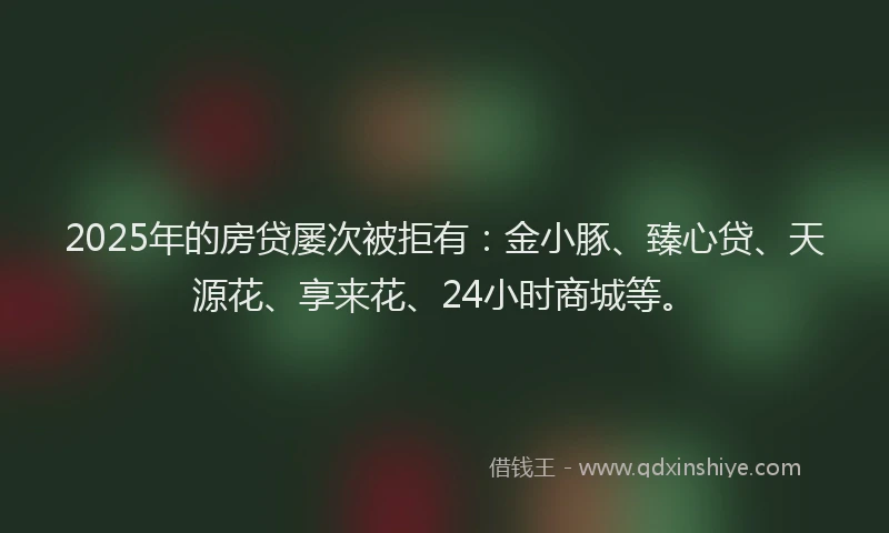 2025年的房贷屡次被拒有：金小豚、臻心贷、天源花、享来花、24小时商城等。