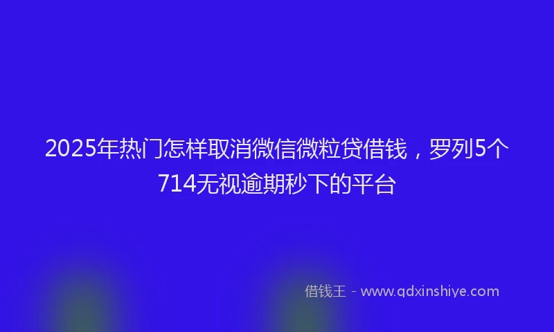 2025年热门怎样取消微信微粒贷借钱，罗列5个714无视逾期秒下的平台