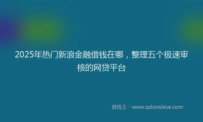 2025年热门新浪金融借钱在哪，整理五个极速审核的网贷平台