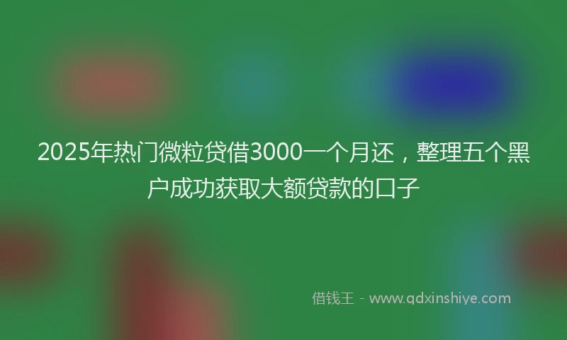 2025年热门微粒贷借3000一个月还，整理五个黑户成功获取大额贷款的口子