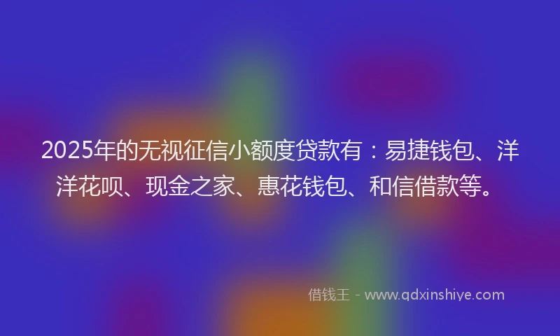 2025年的无视征信小额度贷款有：易捷钱包、洋洋花呗、现金之家、惠花钱包、和信借款等。