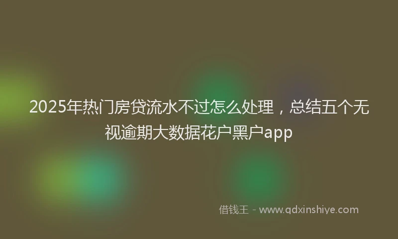 2025年热门房贷流水不过怎么处理，总结五个无视逾期大数据花户黑户app