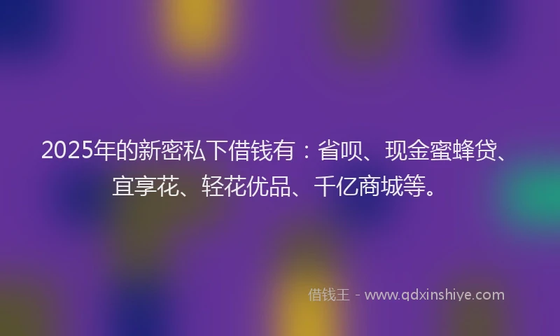 2025年的新密私下借钱有：省呗、现金蜜蜂贷、宜享花、轻花优品、千亿商城等。
