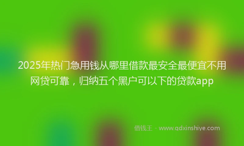 2025年热门急用钱从哪里借款最安全最便宜不用网贷可靠，归纳五个黑户可以下的贷款app