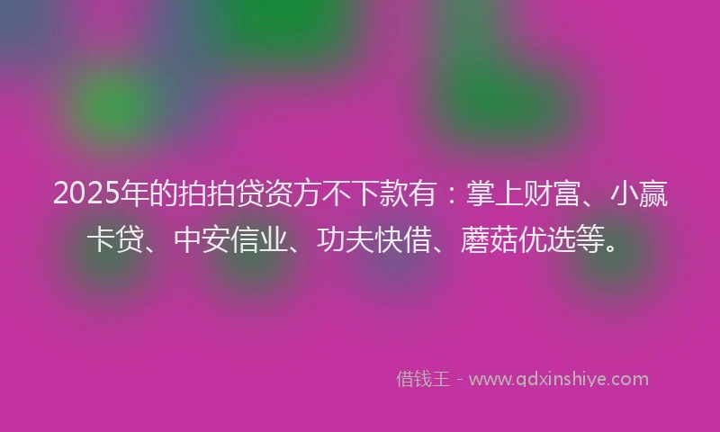 2025年的拍拍贷资方不下款有：掌上财富、小赢卡贷、中安信业、功夫快借、蘑菇优选等。