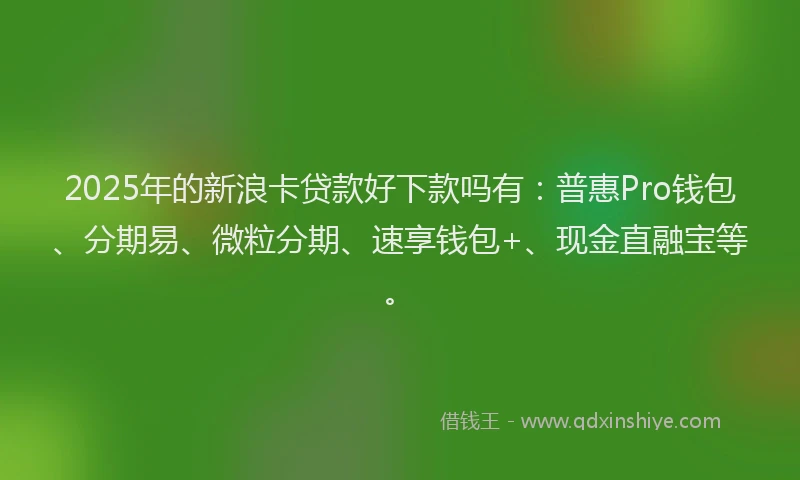 2025年的新浪卡贷款好下款吗有：普惠Pro钱包、分期易、微粒分期、速享钱包+、现金直融宝等。