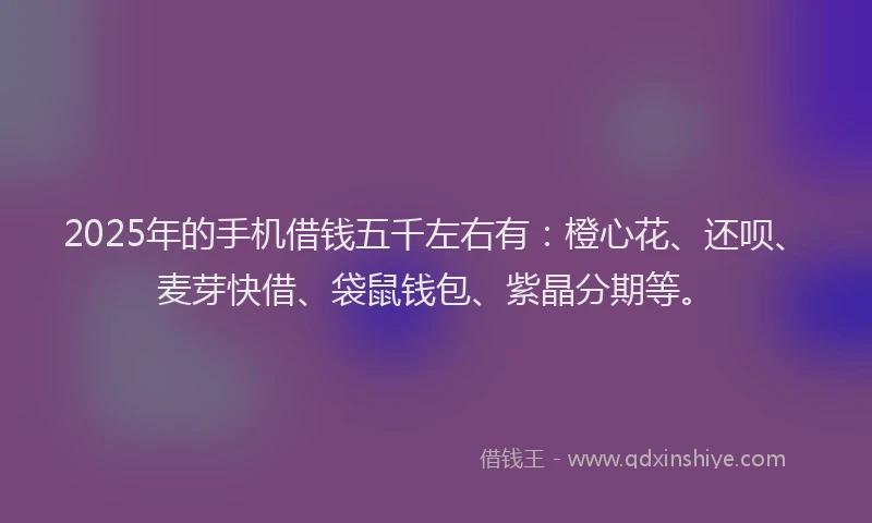 2025年的手机借钱五千左右有：橙心花、还呗、麦芽快借、袋鼠钱包、紫晶分期等。