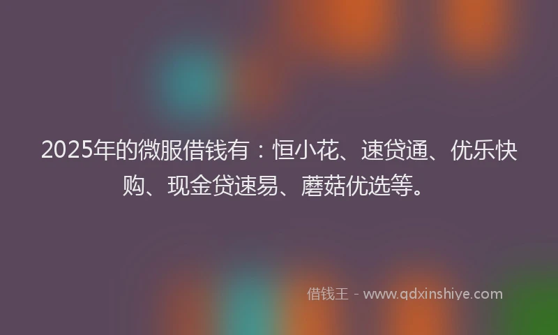 2025年的微服借钱有：恒小花、速贷通、优乐快购、现金贷速易、蘑菇优选等。
