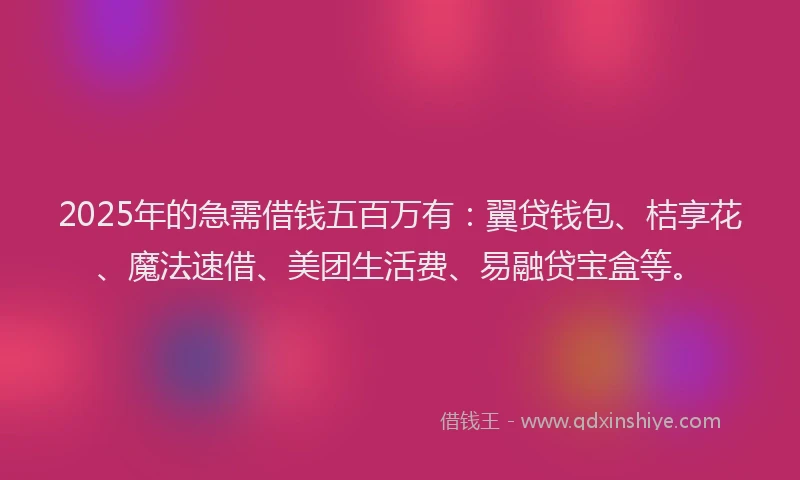 2025年的急需借钱五百万有：翼贷钱包、桔享花、魔法速借、美团生活费、易融贷宝盒等。