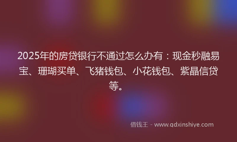 2025年的房贷银行不通过怎么办有：现金秒融易宝、珊瑚买单、飞猪钱包、小花钱包、紫晶信贷等。