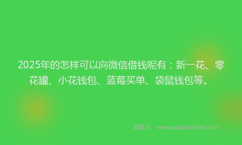 2025年的怎样可以向微信借钱呢有：新一花、零花罐、小花钱包、蓝莓买单、袋鼠钱包等。