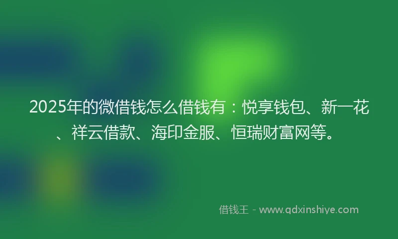 2025年的微借钱怎么借钱有：悦享钱包、新一花、祥云借款、海印金服、恒瑞财富网等。