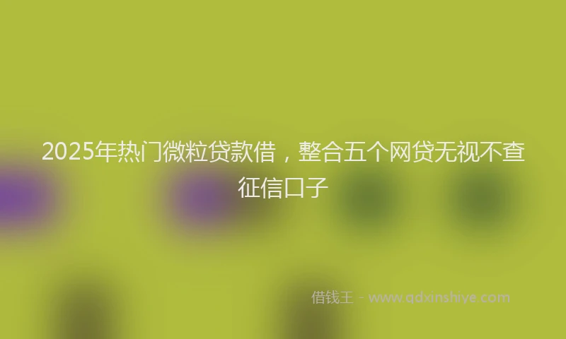 2025年热门微粒贷款借，整合五个网贷无视不查征信口子