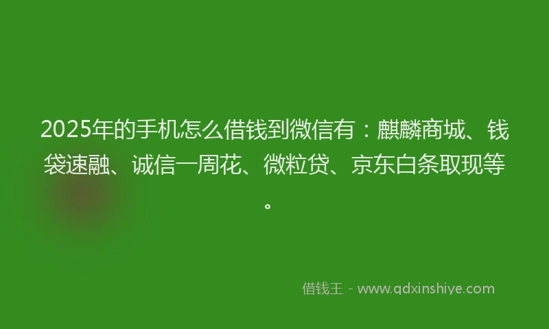 2025年的手机怎么借钱到微信有：麒麟商城、钱袋速融、诚信一周花、微粒贷、京东白条取现等。