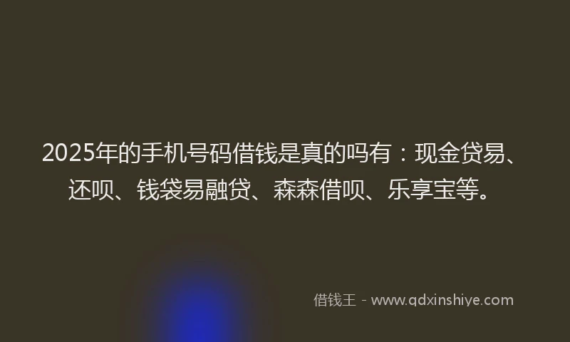 2025年的手机号码借钱是真的吗有：现金贷易、还呗、钱袋易融贷、森森借呗、乐享宝等。