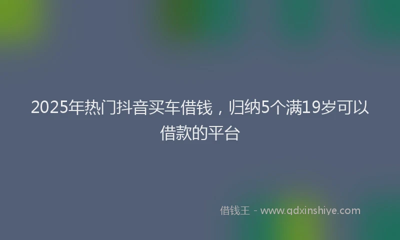 2025年热门抖音买车借钱，归纳5个满19岁可以借款的平台