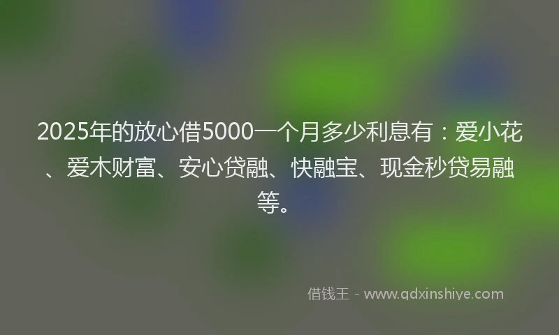 2025年的放心借5000一个月多少利息有：爱小花、爱木财富、安心贷融、快融宝、现金秒贷易融等。