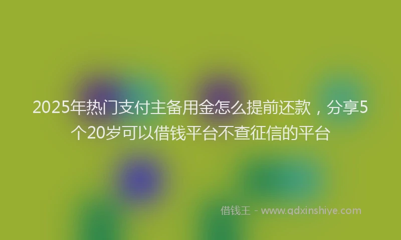2025年热门支付主备用金怎么提前还款，分享5个20岁可以借钱平台不查征信的平台