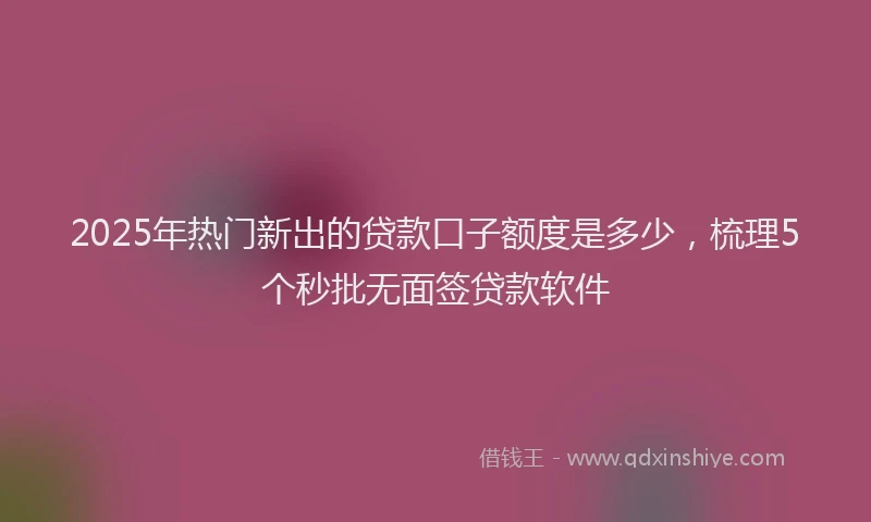2025年热门新出的贷款口子额度是多少，梳理5个秒批无面签贷款软件