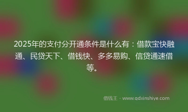 2025年的支付分开通条件是什么有：借款宝快融通、民贷天下、借钱快、多多易购、信贷通速借等。