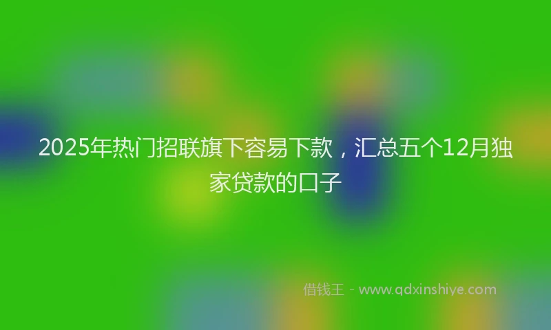 2025年热门招联旗下容易下款，汇总五个12月独家贷款的口子