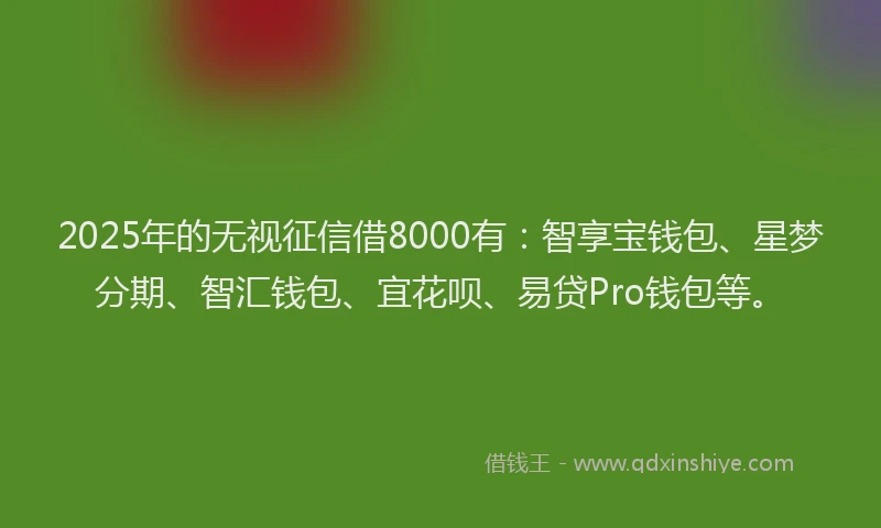 2025年的无视征信借8000有：智享宝钱包、星梦分期、智汇钱包、宜花呗、易贷Pro钱包等。