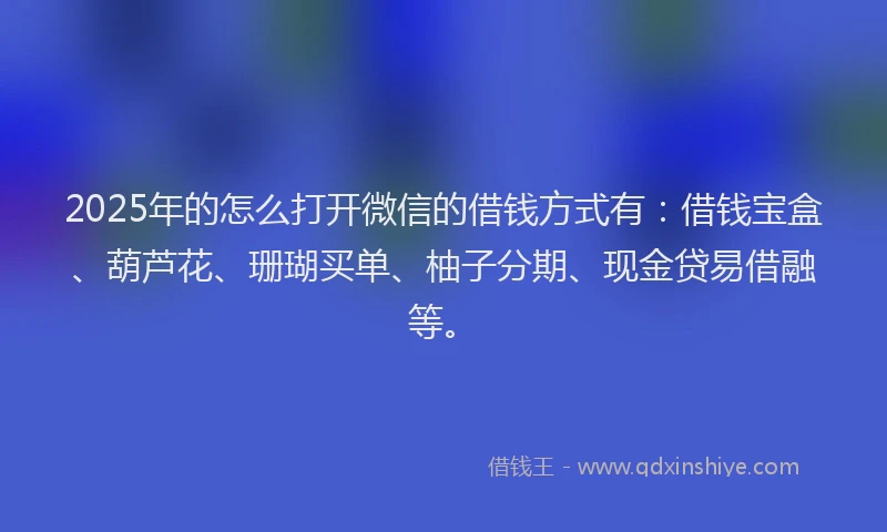 2025年的怎么打开微信的借钱方式有：借钱宝盒、葫芦花、珊瑚买单、柚子分期、现金贷易借融等。