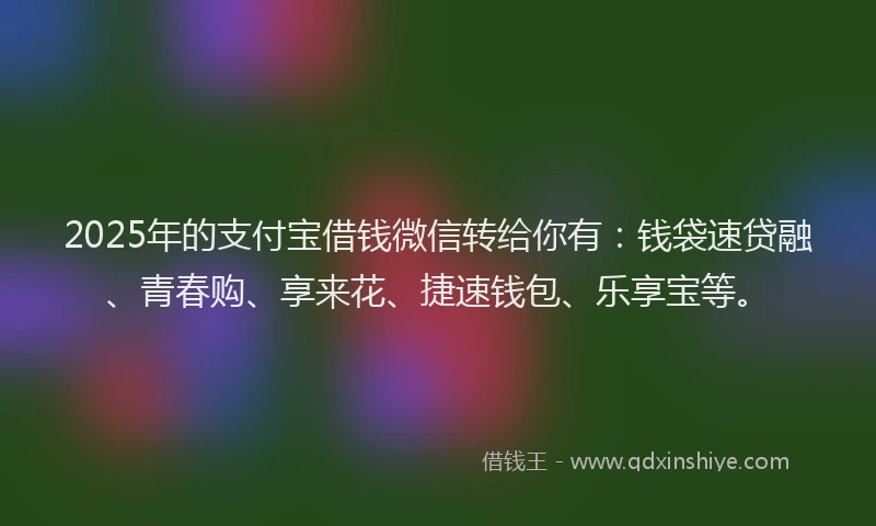 2025年的支付宝借钱微信转给你有：钱袋速贷融、青春购、享来花、捷速钱包、乐享宝等。