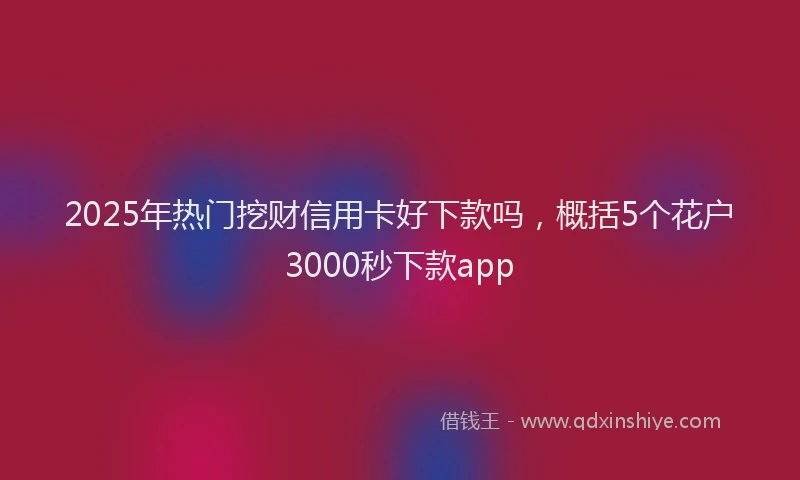 2025年热门挖财信用卡好下款吗，概括5个花户3000秒下款app