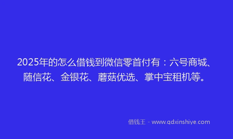 2025年的怎么借钱到微信零首付有：六号商城、随信花、金银花、蘑菇优选、掌中宝租机等。