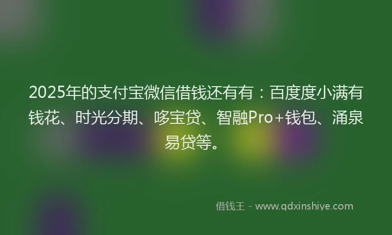 2025年的支付宝微信借钱还有有：百度度小满有钱花、时光分期、哆宝贷、智融Pro+钱包、涌泉易贷等。