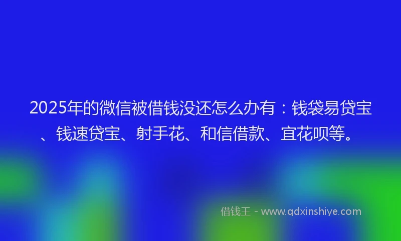 2025年的微信被借钱没还怎么办有：钱袋易贷宝、钱速贷宝、射手花、和信借款、宜花呗等。