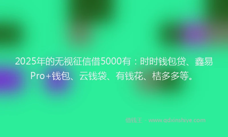 2025年的无视征信借5000有：时时钱包贷、鑫易Pro+钱包、云钱袋、有钱花、桔多多等。