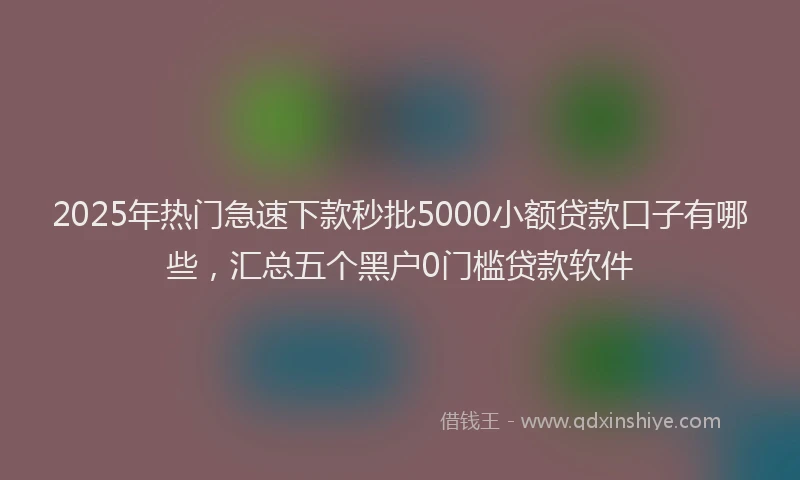 2025年热门急速下款秒批5000小额贷款口子有哪些，汇总五个黑户0门槛贷款软件