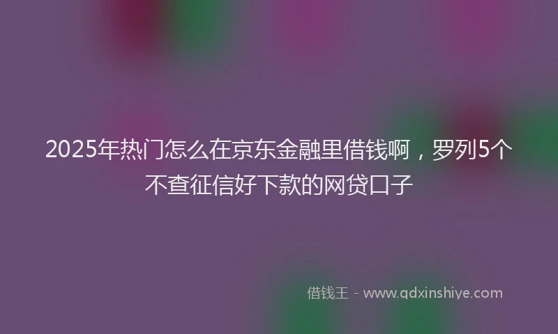 2025年热门怎么在京东金融里借钱啊，罗列5个不查征信好下款的网贷口子