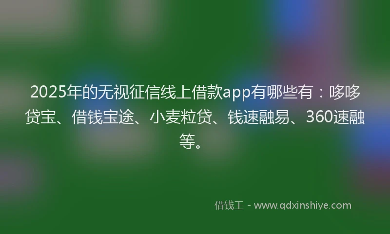 2025年的无视征信线上借款app有哪些有：哆哆贷宝、借钱宝途、小麦粒贷、钱速融易、360速融等。