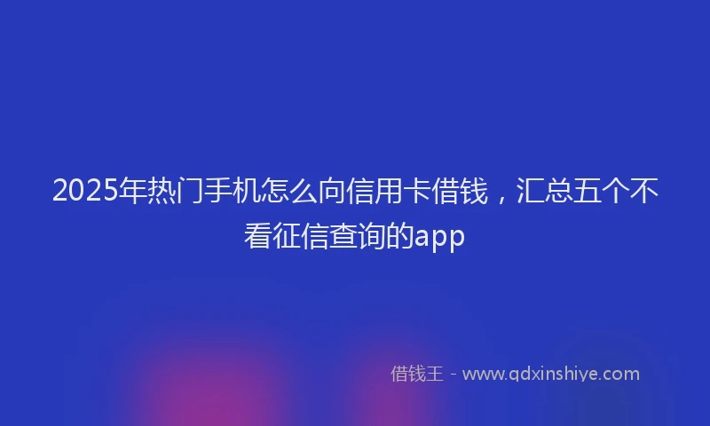 2025年热门手机怎么向信用卡借钱，汇总五个不看征信查询的app